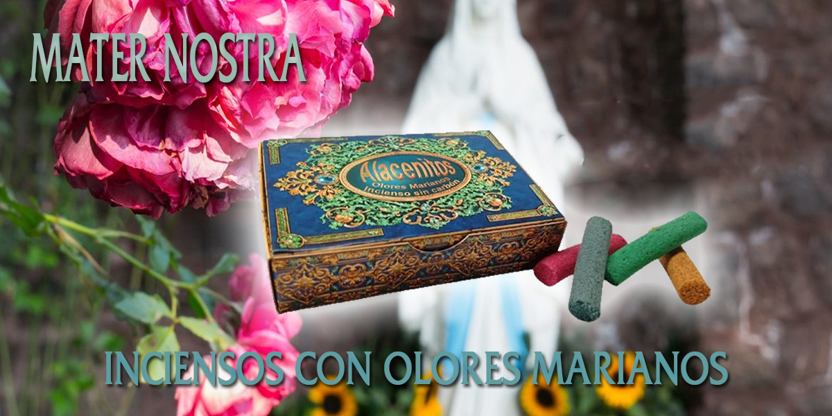 banner-mater-nostra